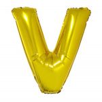 v1