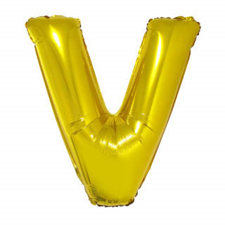 v1