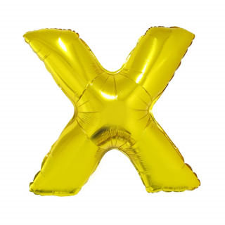 x1