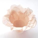 decorart-champanhe