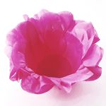 decorart-pink