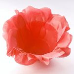 decorart-coral
