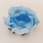 F-283-AZUL-CLARO