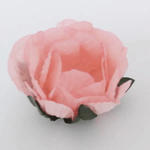 F-283-ROSA-SECO