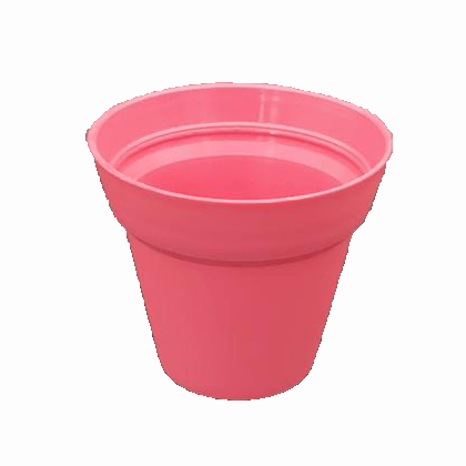 VASOREDONDOPEQROSA