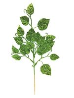 731738-Green---GR-