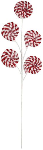 TG19C005-FROSTED-RDWH