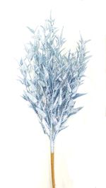 731744-LT.blue---1-