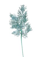 EYJY15580-6--1-