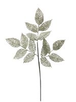 EYF19-2399--2-