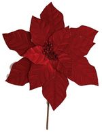 TG196109-DEEP-RED