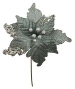 XLG5029--1-
