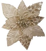 LY19156--1-