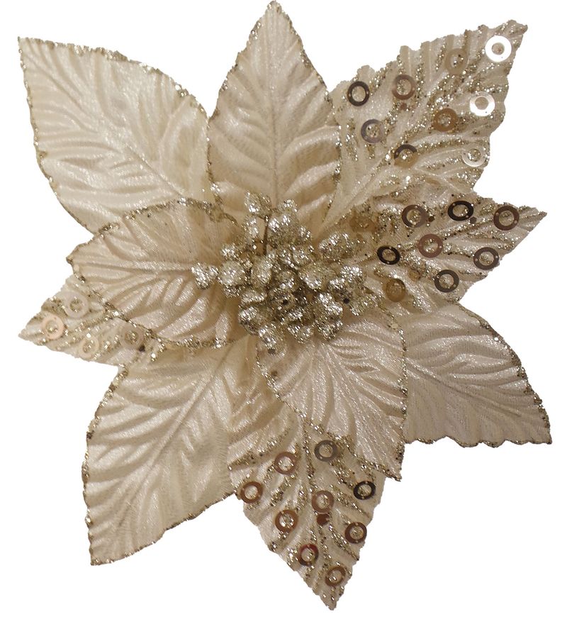 LY19156--1-