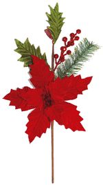 TG187073S-DEEP-RED