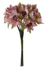 DX23-72-ROSA-CREME-