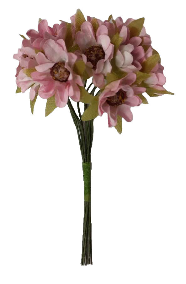 DX23-72-ROSA-CREME-