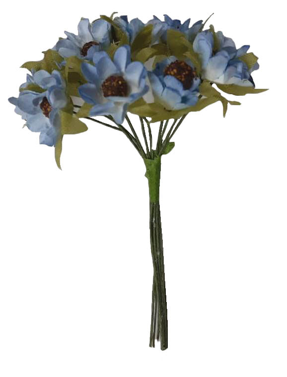 DX23-72-AZUL-