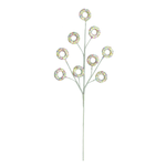 TG213268-FROZEN-GREEN