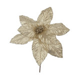 CF8-21321H-GOLD