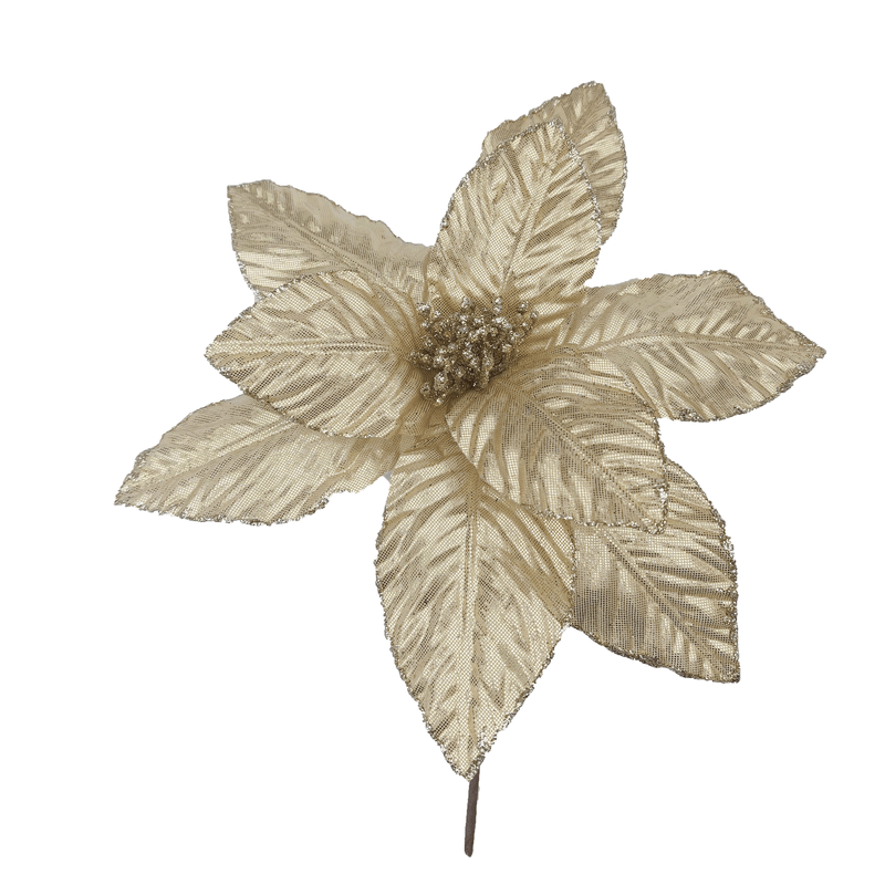 CF8-21321H-GOLD