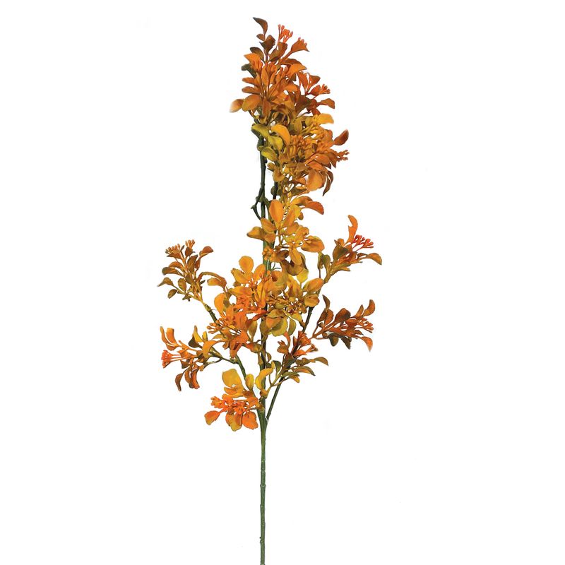 2881041-Orange--CY803.3562X6-A-16--OK