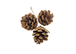 Sem-nome--900-×-647-px---19-