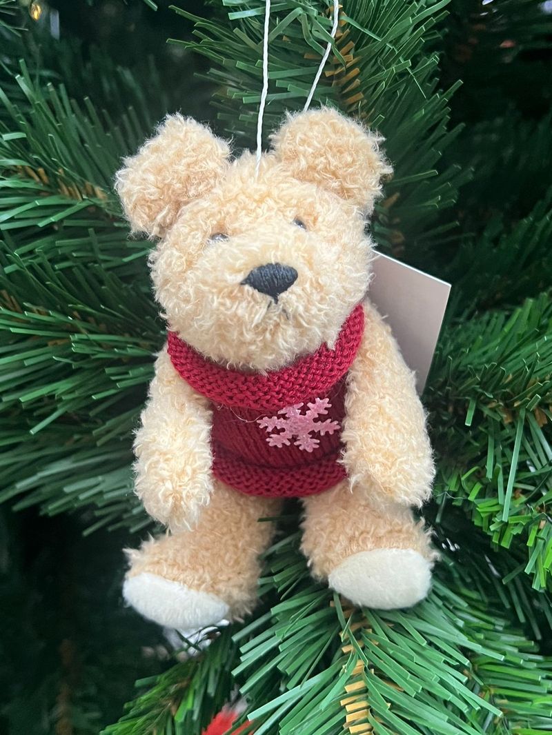 urso-com-sueter