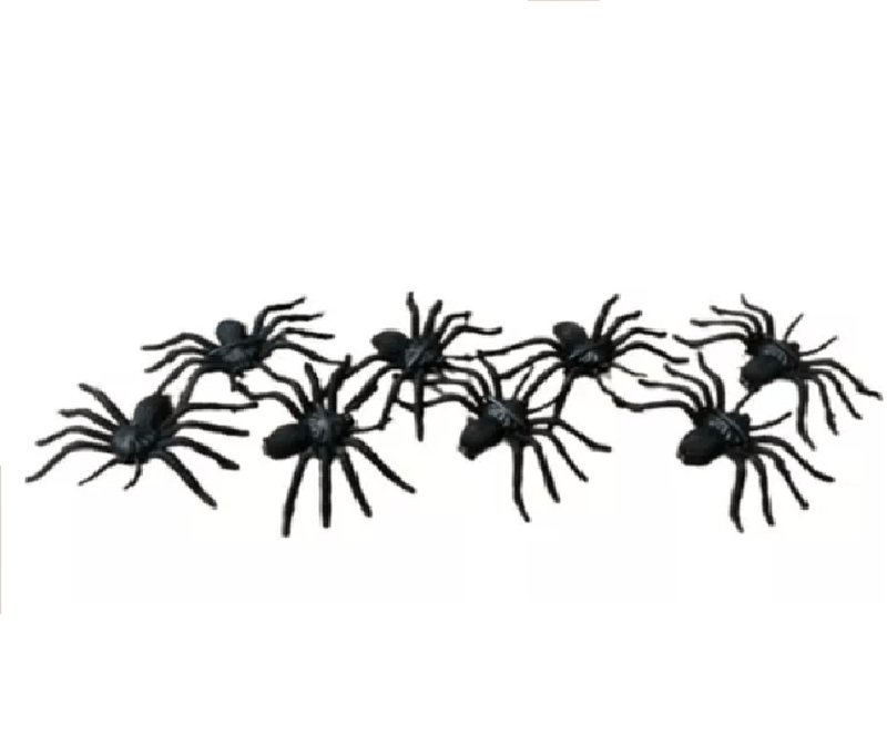 aranha