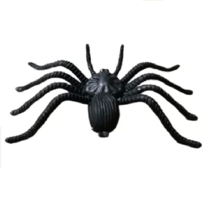 aranha-2