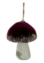 Design-sem-nome---2024-07-01T152916.774