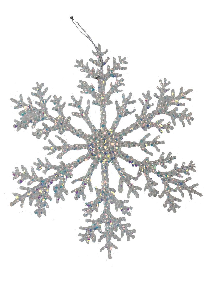 floco-de-neve