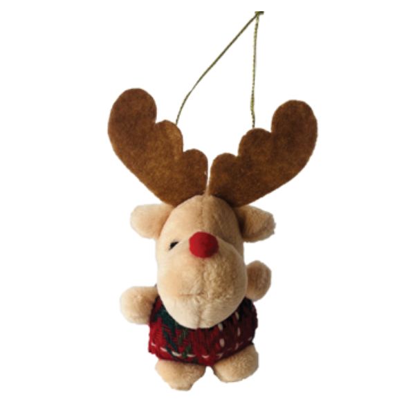 CAROL---2024-10-04T144436.619