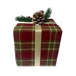 CAROL---2024-10-04T153239.584