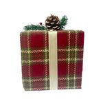 CAROL---2024-10-04T153331.598