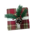 CAROL---2024-10-04T153411.659