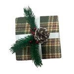 CAROL---2024-10-04T153511.883