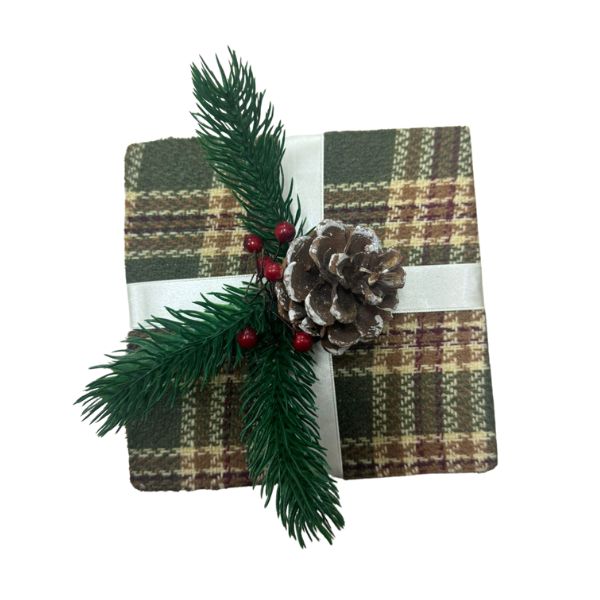 CAROL---2024-10-04T153511.883