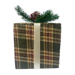 CAROL---2024-10-04T153543.547