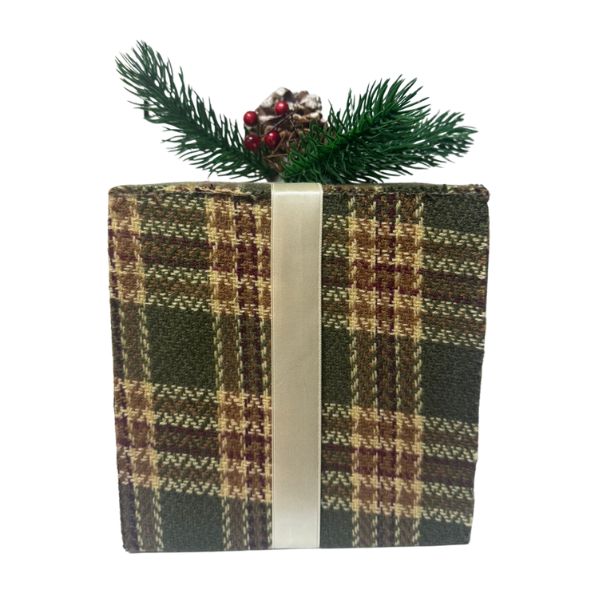 CAROL---2024-10-04T153543.547