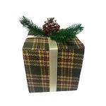 CAROL---2024-10-04T153622.611