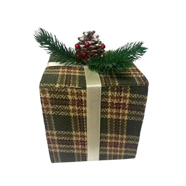 CAROL---2024-10-04T153622.611