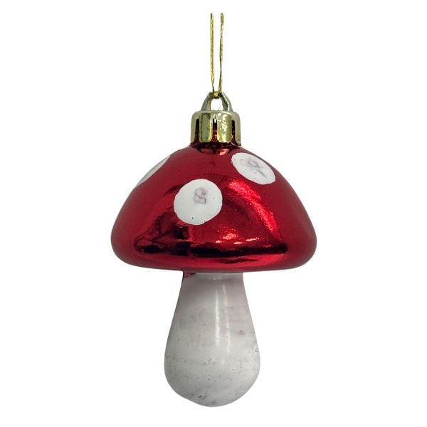 CAROL---2024-10-08T150244.805