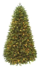 183876-800-auto.webp