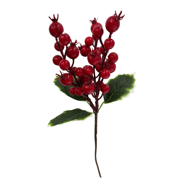 P24-88155.png