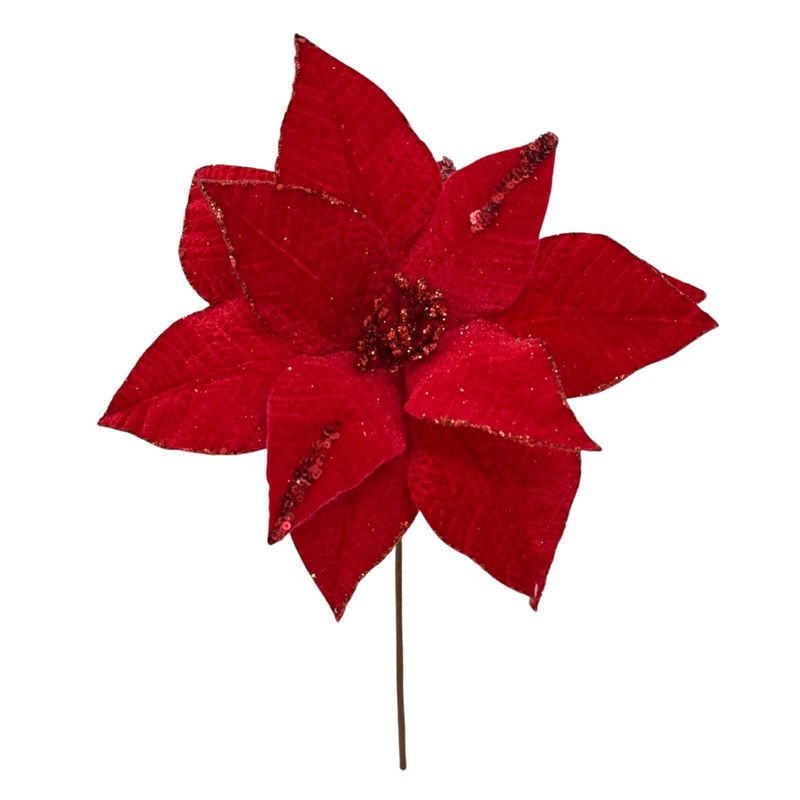 Design-sem-nome--6-.jpg