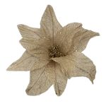 Design-sem-nome--7-.jpg