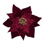TG247010-R.png