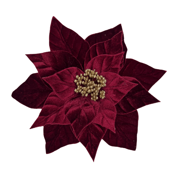 TG247010-R.png