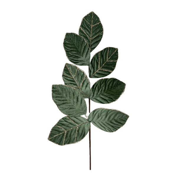 TG25F008.png
